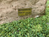Memorial Rock Urn  2225 Regular White